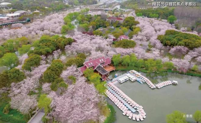 5网站-招商时代乐章最新发布-上海房天下麻将胡了2试玩网站【招商时代乐章】202(图32)